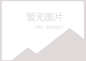 漠河县迎夏化学有限公司